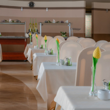 Ustronie_Alka_restauracja9